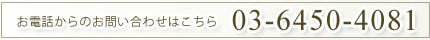 お電話でのお問い合わせ　03-6450-4081