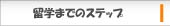 menu tetuzuki step.jpg