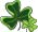 shamrock2.jpg
