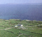 aran.gif aran.gif