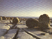 burren.gif burren.gif