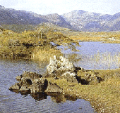 connemara.gif connemara.gif