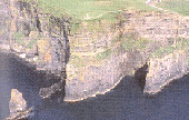mohar.gif mohar.gif